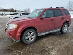 2011 Ford Escape XLT en venta en Columbia Station, OH