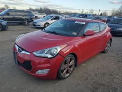 Salvage cars for sale at Hillsborough, NJ auction: 2016 Hyundai Veloster