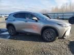 2025 Lexus NX 350H Base