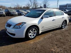 Salvage cars for sale at Chicago Heights, IL auction: 2009 Nissan Altima Hybrid