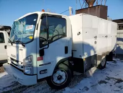 Vehiculos salvage en venta de Copart Louisville, KY: 2016 Isuzu NPR HD