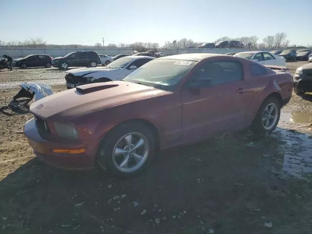 2009 Ford Mustang GT