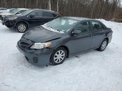 Salvage cars for sale at Cookstown, ON auction: 2013 Toyota Corolla Base