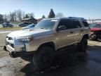 2021 Toyota 4runner Venture