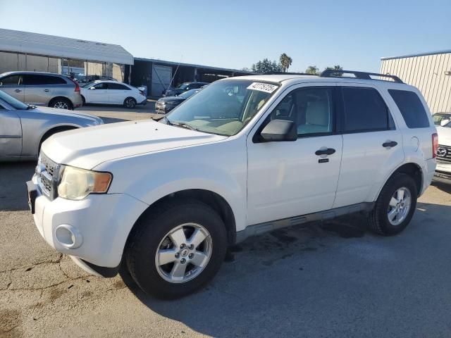 2010 Ford Escape XLT