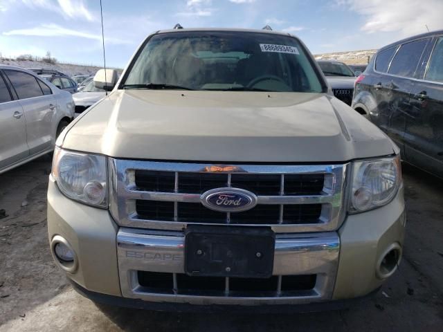 2011 Ford Escape Limited