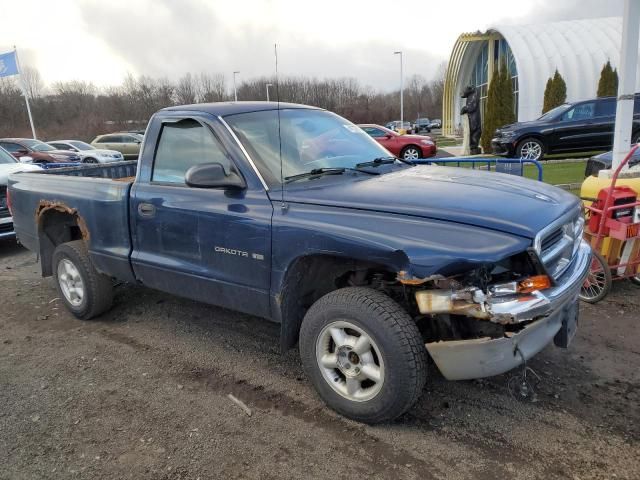 2000 Dodge Dakota