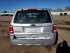 2011 Ford Escape XLS