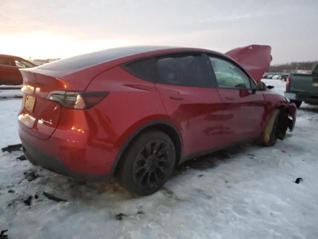 2025 Tesla Model Y