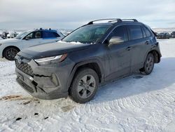 Carros híbridos a la venta en subasta: 2024 Toyota Rav4 LE