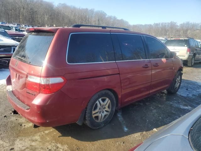 2005 Honda Odyssey EXL