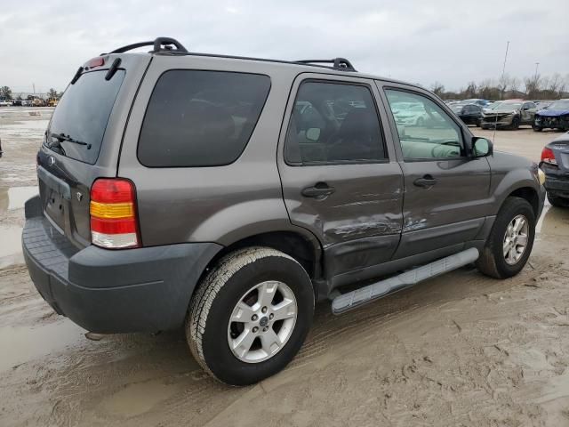 2005 Ford Escape XLT