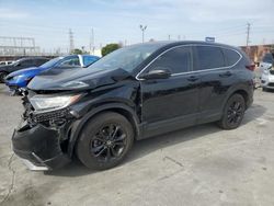 Salvage cars for sale at Wilmington, CA auction: 2021 Honda CR-V EX