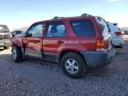 2005 Ford Escape XLS