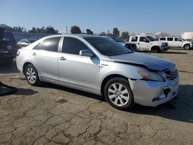 2009 Toyota Camry Hybrid