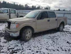 Ford Vehiculos salvage en venta: 2013 Ford F150 Supercrew