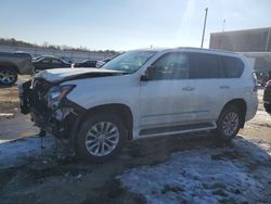 Lexus salvage cars for sale: 2019 Lexus GX 460