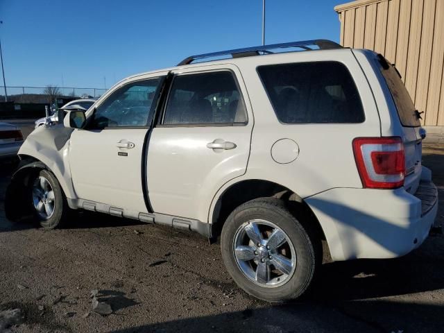 2011 Ford Escape Limited