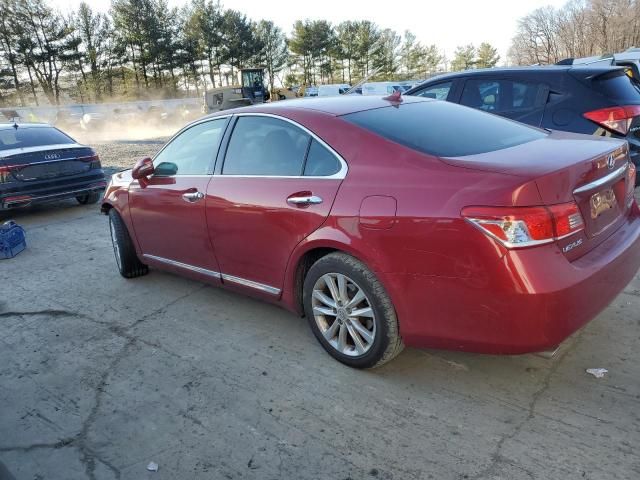 2010 Lexus ES 350