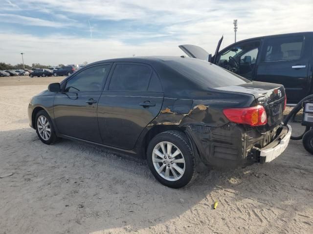 2009 Toyota Corolla Base