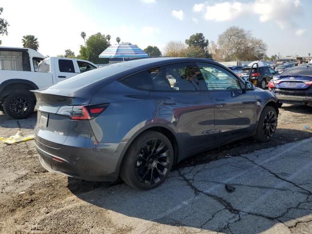 2020 Tesla Model Y