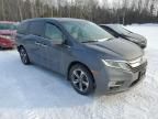 2019 Honda Odyssey EXL