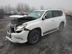 2017 Lexus GX 460