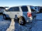 2012 Ford Escape XLS