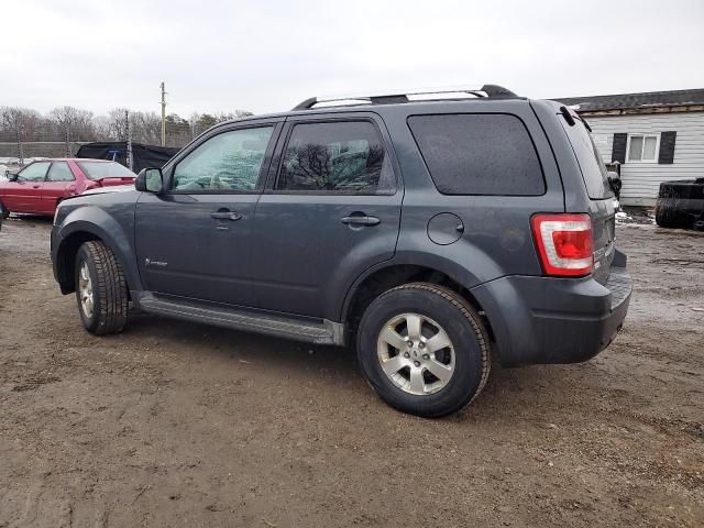 2010 Ford Escape Hybrid