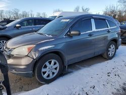 Salvage cars for sale from Copart Cleveland: 2011 Honda CR-V SE