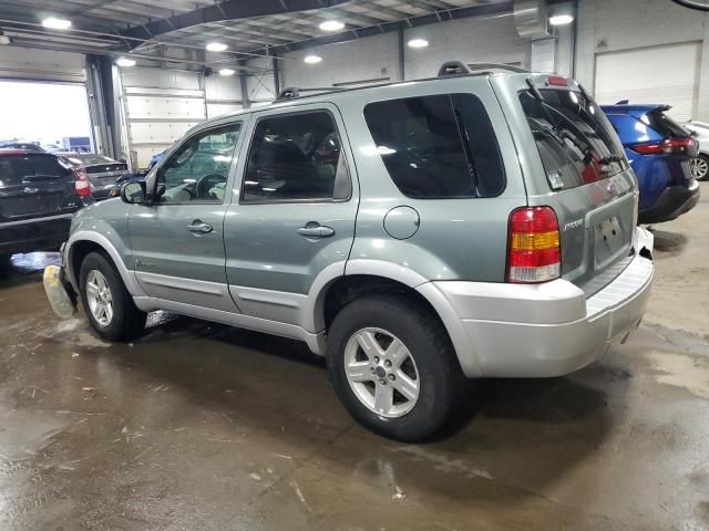 2005 Ford Escape HEV