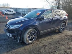 Salvage cars for sale at Arlington, WA auction: 2021 Honda CR-V EXL