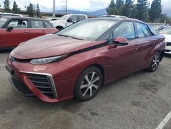 Toyota Mirai salvage cars for sale: 2019 Toyota Mirai