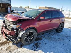 2013 Ford Edge SEL en venta en Bismarck, ND