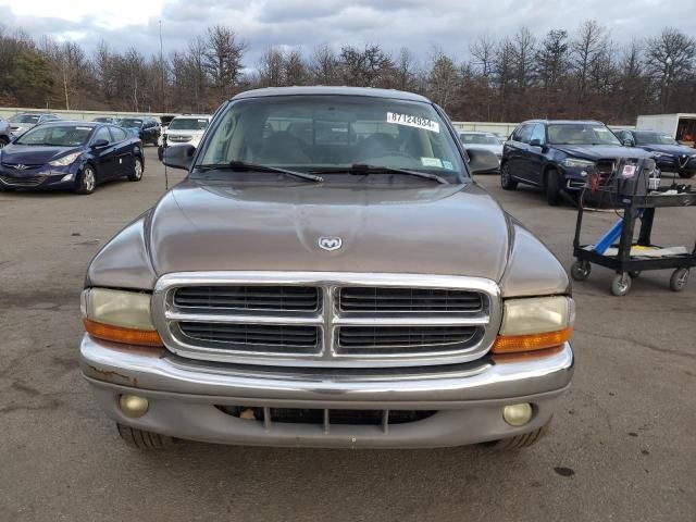 2001 Dodge Dakota Quattro