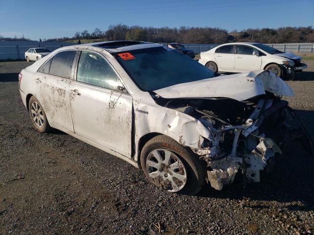 2008 Toyota Camry Hybrid