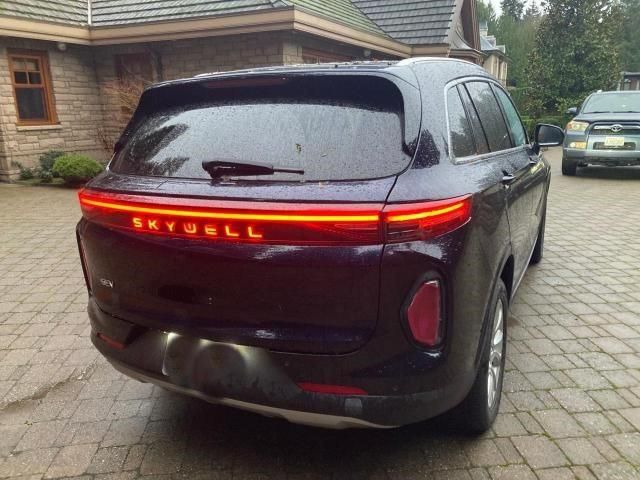 2020 Other 2020  Skywell SUV