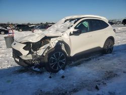 Vehiculos salvage en venta de Copart Fredericksburg, VA: 2021 Ford Escape SE