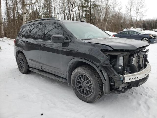 2024 Honda Passport Black Edition