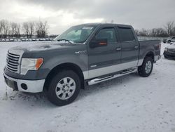 Salvage cars for sale at Barberton, OH auction: 2012 Ford F150 Supercrew