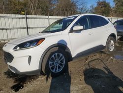 Ford salvage cars for sale: 2020 Ford Escape SE