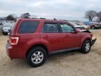 2010 Ford Escape Limited