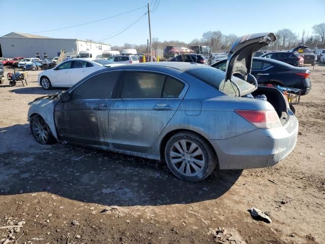 2011 Honda Accord EXL