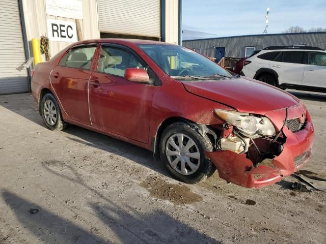 2010 Toyota Corolla Base