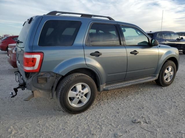 2010 Ford Escape XLT