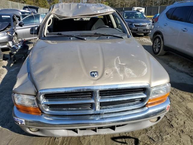 2004 Dodge Dakota Quad SLT