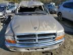 2004 Dodge Dakota Quad SLT