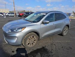 Salvage cars for sale at Glassboro, NJ auction: 2021 Ford Escape SEL