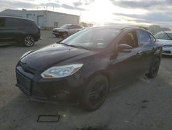 Ford salvage cars for sale: 2013 Ford Focus SE