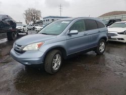 Salvage cars for sale at Albuquerque, NM auction: 2011 Honda CR-V EXL